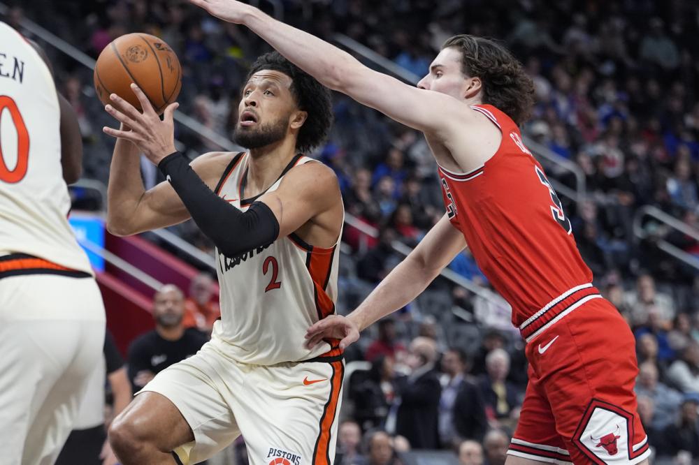 也是其近年 也是其近年