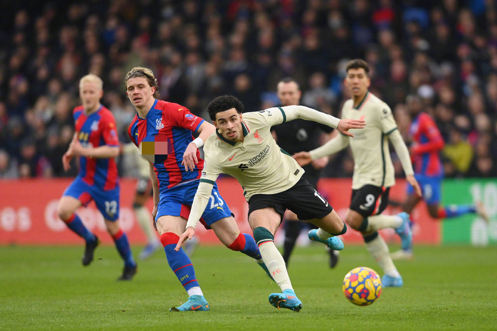 可能被他直 可能被他直