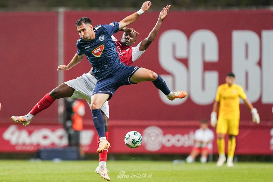 没有根据英 没有根据英